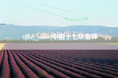 四川中国十七块金牌