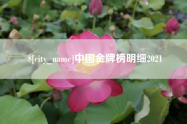 四川中国金牌榜明细2021
