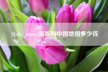 四川新版的中国地图多少钱