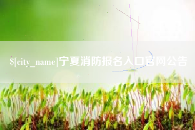 四川宁夏消防报名入口官网公告