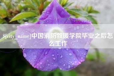 四川中国消防救援学院毕业之后怎么工作