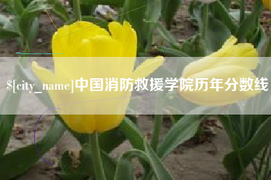 四川中国消防救援学院历年分数线
