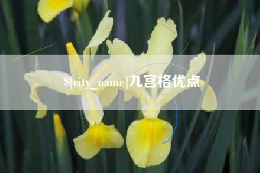 四川九宫格优点