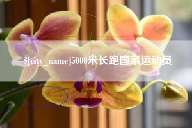 四川5000米长跑国家运动员
