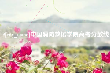 四川中国消防救援学院高考分数线