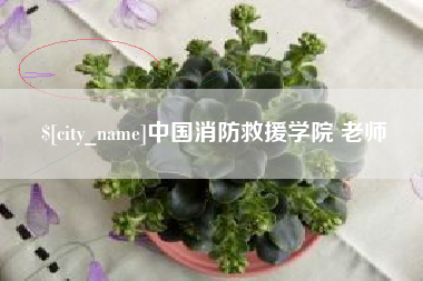 四川中国消防救援学院 老师