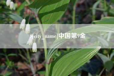 四川中国第9金