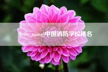 四川中国消防学校排名