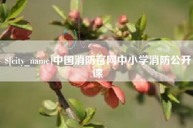 四川中国消防官网中小学消防公开课