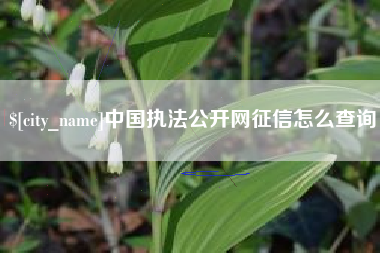 四川中国执法公开网征信怎么查询