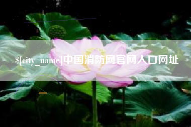 四川中国消防网官网入口网址