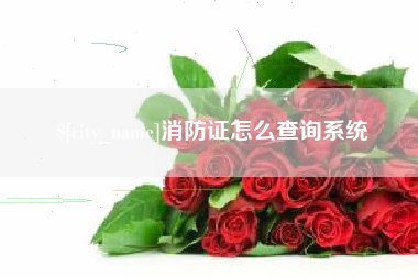 四川消防证怎么查询系统