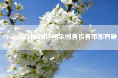 四川中国地图全图各省各市都有啥