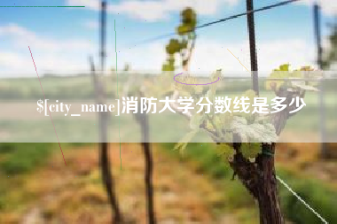 四川消防大学分数线是多少