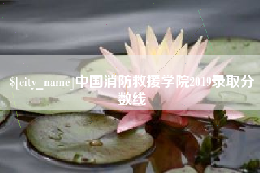 四川中国消防救援学院2019录取分数线