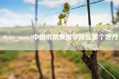 四川中国消防救援学院在那个地方