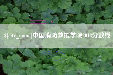 四川中国消防救援学院2018分数线