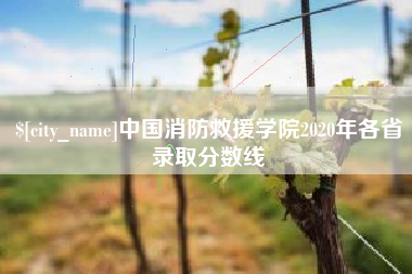 四川中国消防救援学院2020年各省录取分数线