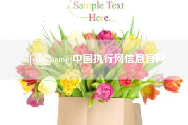 四川中国执行网信息官网