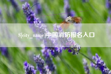 四川中国消防报名入口