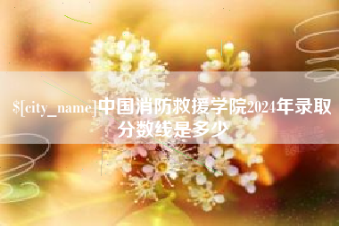 四川中国消防救援学院2024年录取分数线是多少