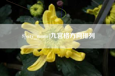 四川九宫格方向排列