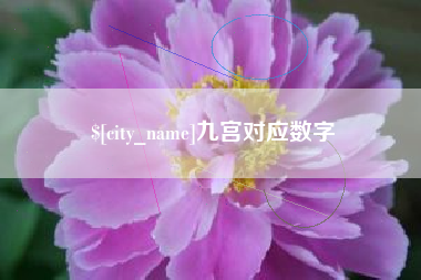 四川九宫对应数字
