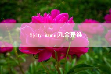 四川九金是谁
