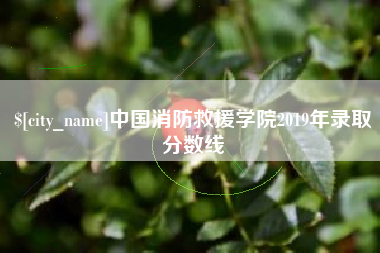 四川中国消防救援学院2019年录取分数线