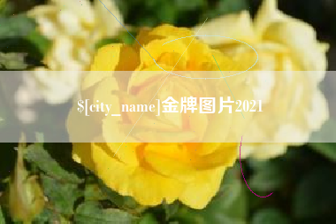 四川金牌图片2021
