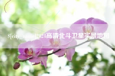四川2024高清北斗卫星实景地图