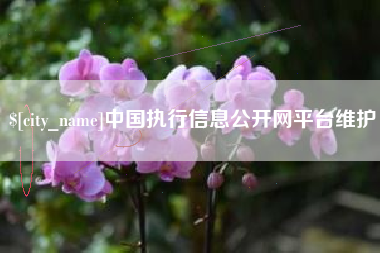 四川中国执行信息公开网平台维护