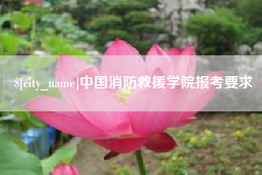 四川中国消防救援学院报考要求
