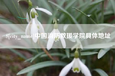 四川中国消防救援学院具体地址