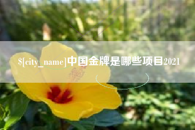 四川中国金牌是哪些项目2021