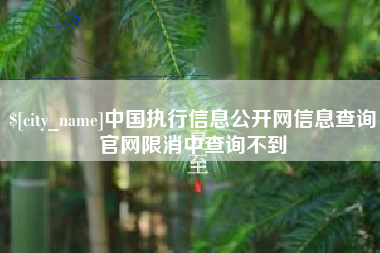 四川中国执行信息公开网信息查询官网限消中查询不到