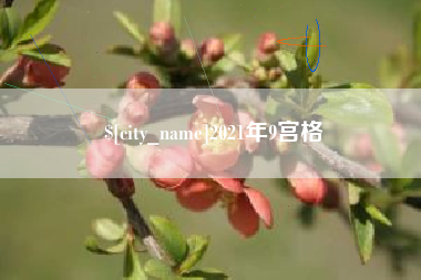四川2021年9宫格