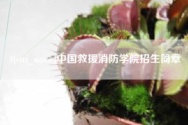 四川中国救援消防学院招生简章