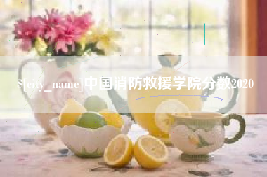 四川中国消防救援学院分数2020