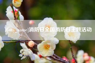 四川消防日全国消防日主题活动