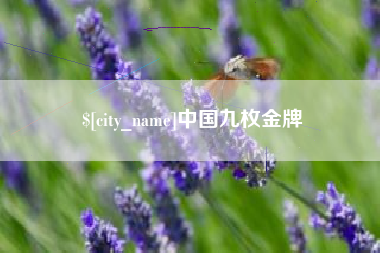 四川中国九枚金牌
