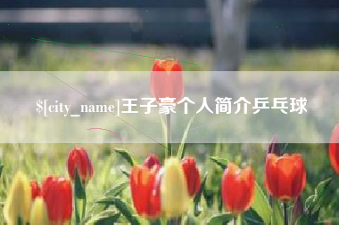 四川王子豪个人简介乒乓球