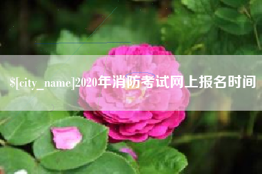 四川2020年消防考试网上报名时间