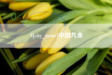 四川中国九金