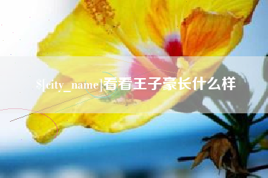 四川看看王子豪长什么样