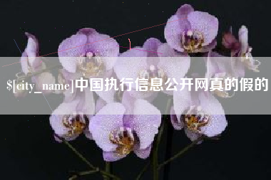 四川中国执行信息公开网真的假的