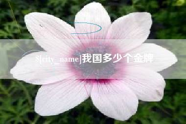 四川我国多少个金牌