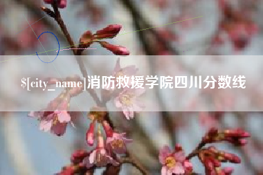 四川消防救援学院四川分数线