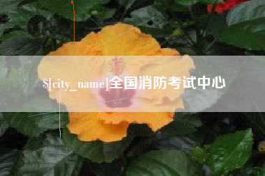 四川全国消防考试中心