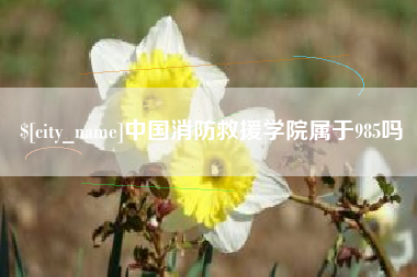 四川中国消防救援学院属于985吗